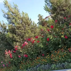 Avaza National Tourist Zone - Gumdag