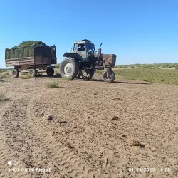 Karakum Desert - Gumdag