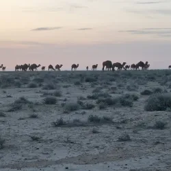 Yangykala Canyon - Gumdag