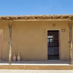 Traditional Turkmen Yurt Experience - Kerki