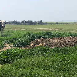 Traditional Turkmen Yurt Experience - Kerki