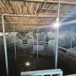 Ancient City Walls of Merv - Mary