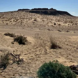 Kyzylkum Desert - Mary