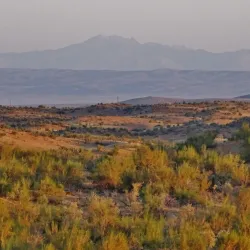 Kyzylkum Desert - Mary