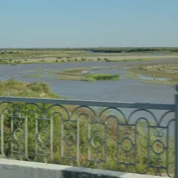 Amu Darya River - Turkmenabat