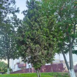 Lebap Regional Drama Theater - Turkmenabat