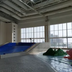 Awaza Dolphinarium - Turkmenbasi