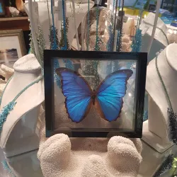 Local Art and Craft Shops - Cockburn Harbour