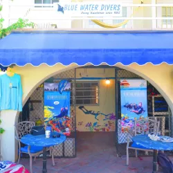 Snorkeling and Diving Sites - Cockburn Harbour