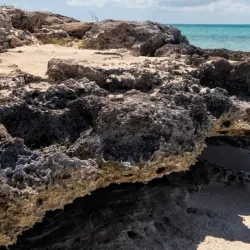 South Caicos National Park - Cockburn Harbour