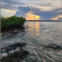 South Caicos National Park - Cockburn Harbour