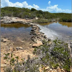 South Caicos National Park - Cockburn Harbour
