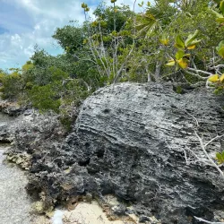 South Caicos National Park - Cockburn Harbour
