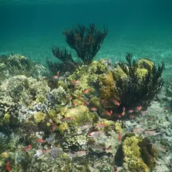 South Caicos National Park - Cockburn Harbour
