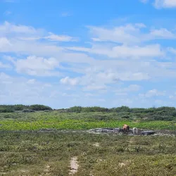 South Caicos Salt Pans - Cockburn Harbour