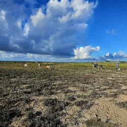 South Caicos Salt Pans - Cockburn Harbour