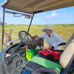 South Caicos Salt Pans - Cockburn Harbour