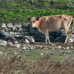 South Caicos Salt Pans - Cockburn Harbour