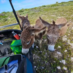 South Caicos Salt Pans - Cockburn Harbour