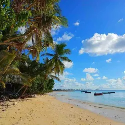 Fongafale Village - Fongafale