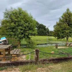 Nearby Agricultural Farms - Busia