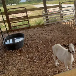 Nearby Agricultural Farms - Busia