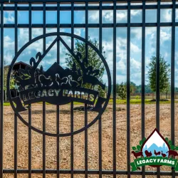 Nearby Agricultural Farms - Busia