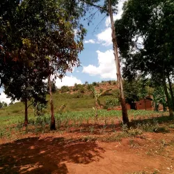 Jinja Market - Buwenge