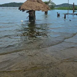Lake Victoria Shoreline - Buwenge