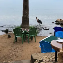 Lake Victoria Shoreline - Buwenge