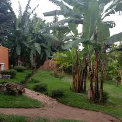 Local Cultural Villages - Buwenge