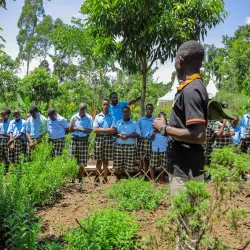 Local Cultural Villages - Buwenge