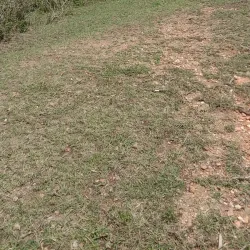 Mpumudde Forest Reserve - Buwenge