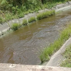 Mpumudde Forest Reserve - Buwenge