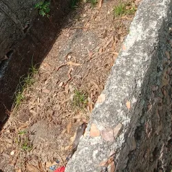 Mpumudde Forest Reserve - Buwenge