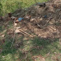 Mpumudde Forest Reserve - Buwenge