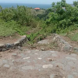 Mpumudde Forest Reserve - Buwenge