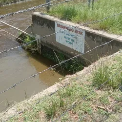 Mpumudde Forest Reserve - Buwenge