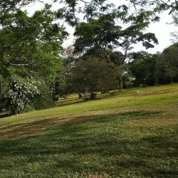 Botanical Gardens Beach - Entebbe