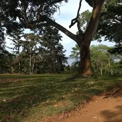 Botanical Gardens Beach - Entebbe