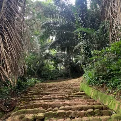 Botanical Gardens Butterfly Garden - Entebbe