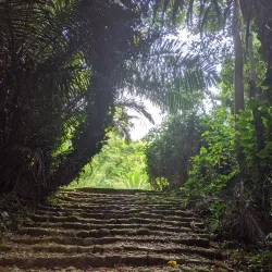 Botanical Gardens Nature Trails - Entebbe