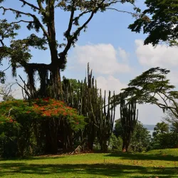 Entebbe Botanical Gardens - Entebbe