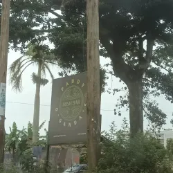 Lake Victoria - Entebbe