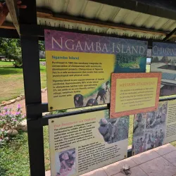 Ngamba Island Chimpanzee Sanctuary - Entebbe