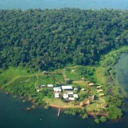 Ngamba Island Chimpanzee Sanctuary - Entebbe