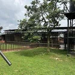 Ngamba Island Chimpanzee Sanctuary - Entebbe