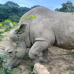 Uganda Wildlife Education Centre (UWEC) - Entebbe