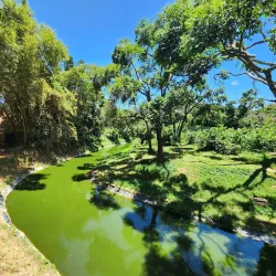 Uganda Wildlife Education Centre (UWEC) - Entebbe