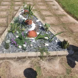 Gulu University Botanical Gardens - Gulu